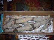 �摜(180x135)�E�g��摜(640x480)