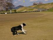 �摜(180x135)�E�g��摜(640x480)