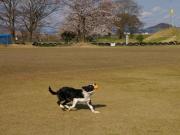 �摜(180x135)�E�g��摜(640x480)