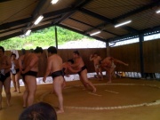 �摜(180x135)�E�g��摜(640x480)