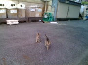 �摜(180x134)�E�g��摜(640x479)