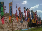 �摜(180x135)�E�g��摜(640x480)