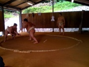 �摜(180x135)�E�g��摜(640x480)