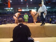 �摜(180x135)�E�g��摜(640x480)