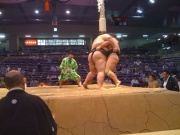 �摜(180x135)�E�g��摜(640x480)