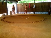 �摜(180x135)�E�g��摜(640x480)