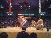 �摜(180x135)�E�g��摜(640x480)