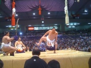 �摜(180x135)�E�g��摜(640x480)