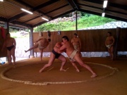 �摜(180x135)�E�g��摜(640x480)