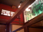 �����Ȃ��f�u