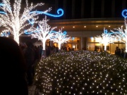 �摜(180x135)�E�g��摜(640x480)