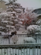 �摜(135x180)�E�g��摜(480x640)