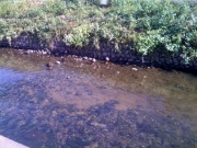 �摜(180x135)�E�g��摜(640x480)