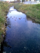 �摜(135x180)�E�g��摜(480x640)