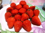 �摜(180x135)�E�g��摜(640x480)