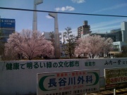 ��q�w�O ���J�̍�