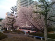 �摜(180x135)�E�g��摜(640x480)