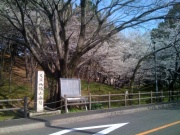 �摜(180x135)�E�g��摜(640x480)