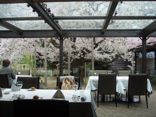 『GARLANDS Ichinomiya』で桜ランチ