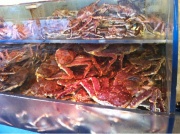 �摜(180x134)�E�g��摜(640x479)