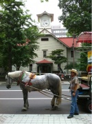 �摜(134x180)�E�g��摜(479x640)