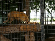 �摜(180x135)�E�g��摜(640x480)