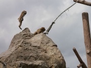 �摜(180x135)�E�g��摜(640x480)