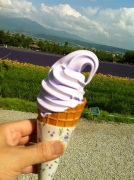 �摜(134x180)�E�g��摜(478x640)