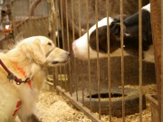 �摜(180x135)�E�g��摜(640x480)