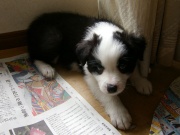 �摜(180x135)�E�g��摜(640x480)