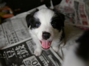 �摜(180x135)�E�g��摜(640x480)