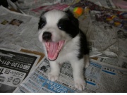 �摜(180x135)�E�g��摜(640x480)