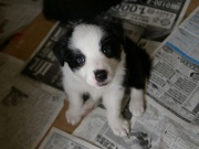 �摜(180x135)�E�g��摜(640x480)