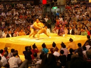 �摜(180x135)�E�g��摜(640x480)