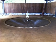 �摜(180x135)�E�g��摜(640x480)