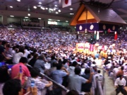 画像(180x134)・拡大画像(640x478)