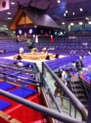 画像(134x180)・拡大画像(478x640)