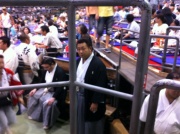 画像(180x134)・拡大画像(640x478)