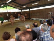 �摜(180x135)�E�g��摜(640x480)