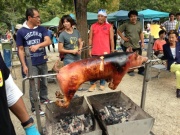 �摜(180x135)�E�g��摜(640x480)