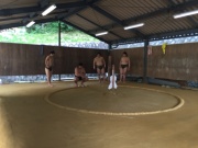 �摜(180x135)�E�g��摜(640x480)