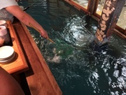 �摜(180x135)�E�g��摜(640x480)